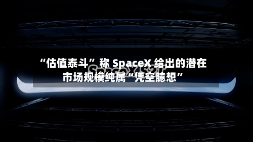 “估值泰斗” 称 SpaceX 给出的潜在市场规模纯属“凭空臆想	”-第3张图片