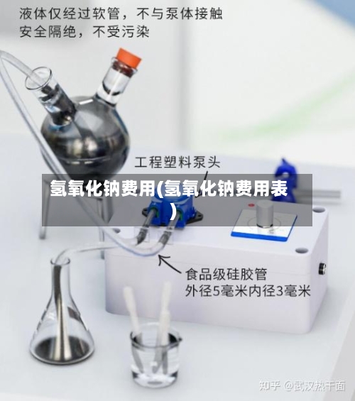 氢氧化钠费用(氢氧化钠费用表)-第2张图片