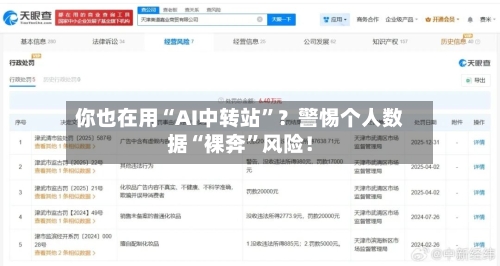 你也在用“AI中转站	”？警惕个人数据“裸奔”风险！-第3张图片