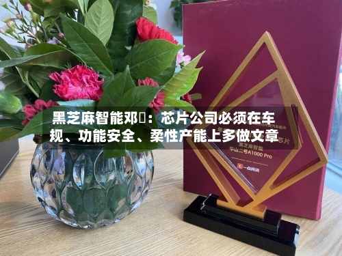 黑芝麻智能邓堃：芯片公司必须在车规	、功能安全、柔性产能上多做文章-第2张图片