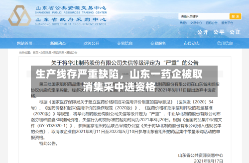 生产线存严重缺陷，山东一药企被取消集采中选资格-第2张图片