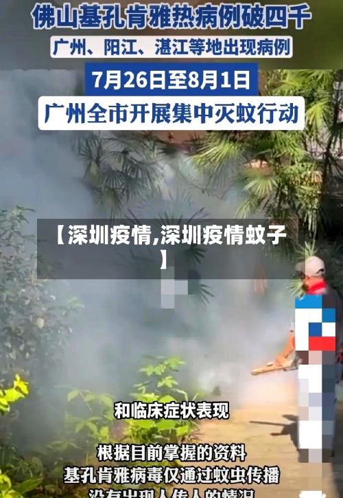 【深圳疫情,深圳疫情蚊子】