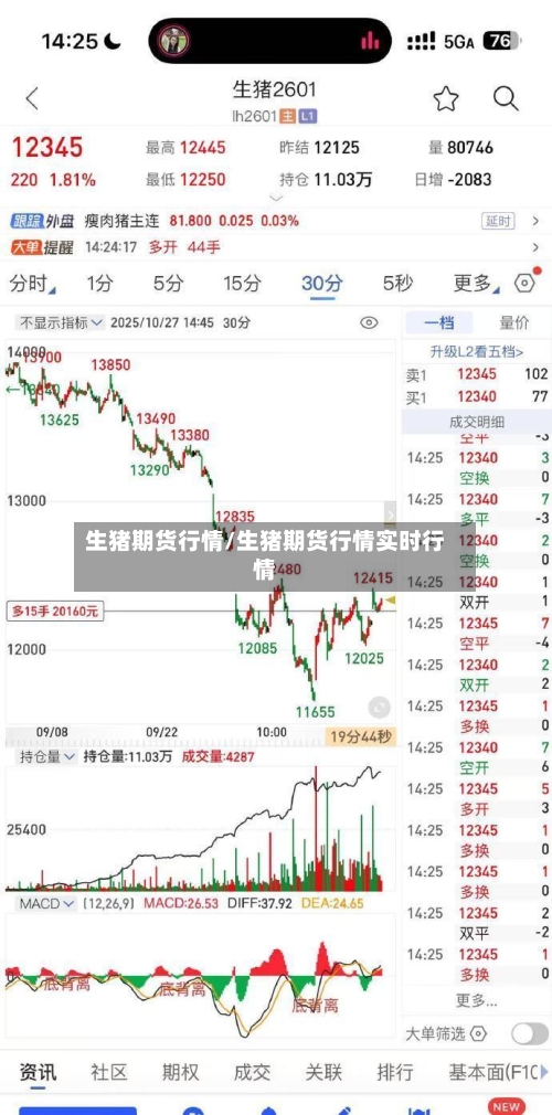 生猪期货行情/生猪期货行情实时行情