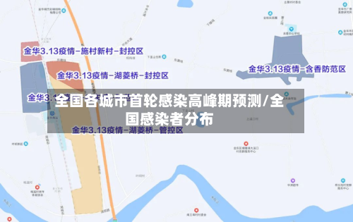 全国各城市首轮感染高峰期预测/全国感染者分布-第3张图片