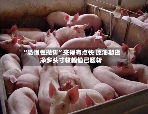 “恐慌性抛售”来得有点快 原油期货净多头寸较峰值已腰斩-第2张图片