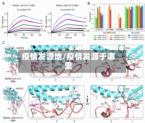 疫情发源地/疫情发源于哪里-第2张图片