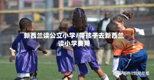 新西兰读公立小学/带孩子去新西兰读小学费用