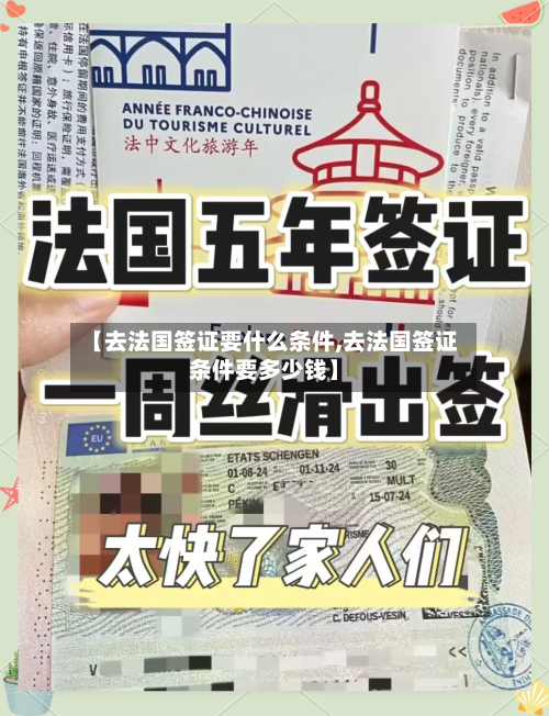 【去法国签证要什么条件,去法国签证条件要多少钱】-第3张图片
