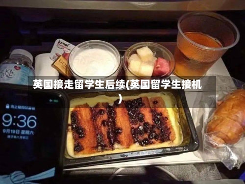 英国接走留学生后续(英国留学生接机)