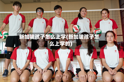 新加坡孩子怎么上学(新加坡孩子怎么上学的)