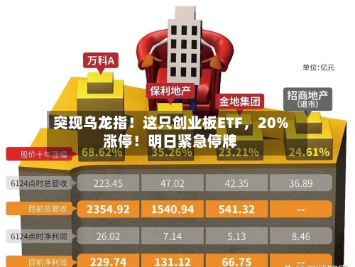 突现乌龙指！这只创业板ETF，20%涨停！明日紧急停牌-第2张图片