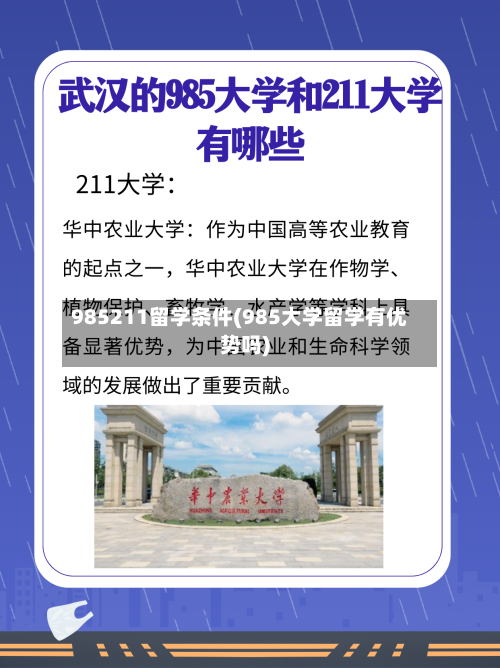 985211留学条件(985大学留学有优势吗)