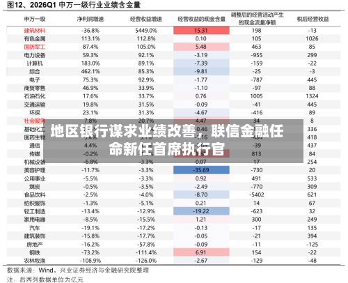 地区银行谋求业绩改善，联信金融任命新任首席执行官-第2张图片