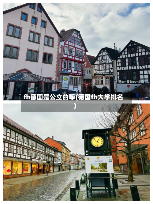fh德国是公立的嘛(德国fh大学排名)