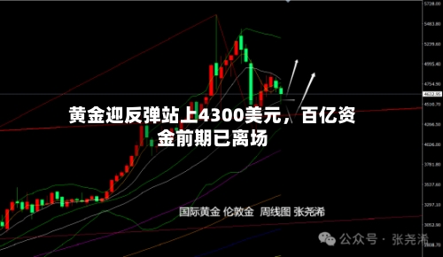 黄金迎反弹站上4300美元，百亿资金前期已离场-第2张图片