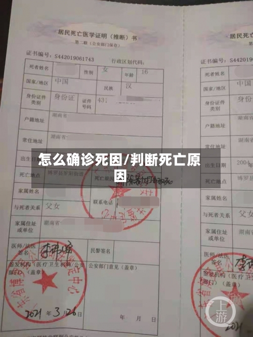 怎么确诊死因/判断死亡原因