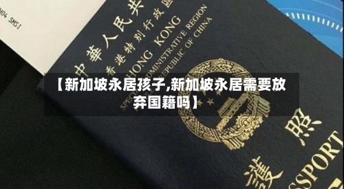 【新加坡永居孩子,新加坡永居需要放弃国籍吗】