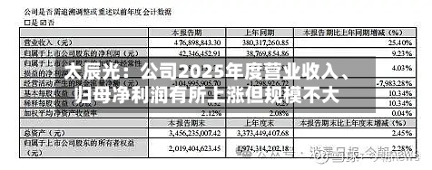 太辰光：公司2025年度营业收入、归母净利润有所上涨但规模不大-第2张图片