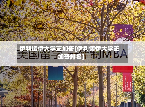 伊利诺伊大学芝加哥(伊利诺伊大学芝加哥排名)-第2张图片