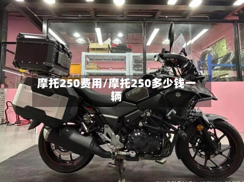 摩托250费用/摩托250多少钱一辆-第2张图片