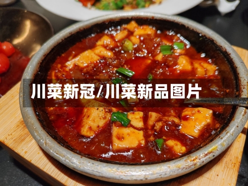 川菜新冠/川菜新品图片-第2张图片