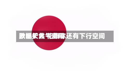 欧洲天然气费用
跌幅扩大 花旗称还有下行空间