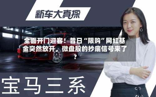 全面开门迎客！昔日“限购	”网红基金突然放开	，微盘股的抄底信号来了？-第2张图片