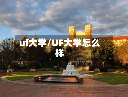 uf大学/UF大学怎么样