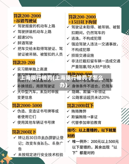 上海限行被罚(上海限行被罚了怎么办)