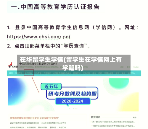 在华留学生学信(留学生在学信网上有学籍吗)-第3张图片