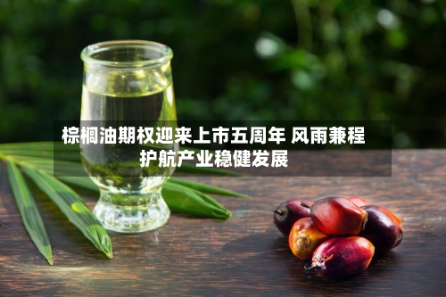 棕榈油期权迎来上市五周年 风雨兼程护航产业稳健发展-第2张图片