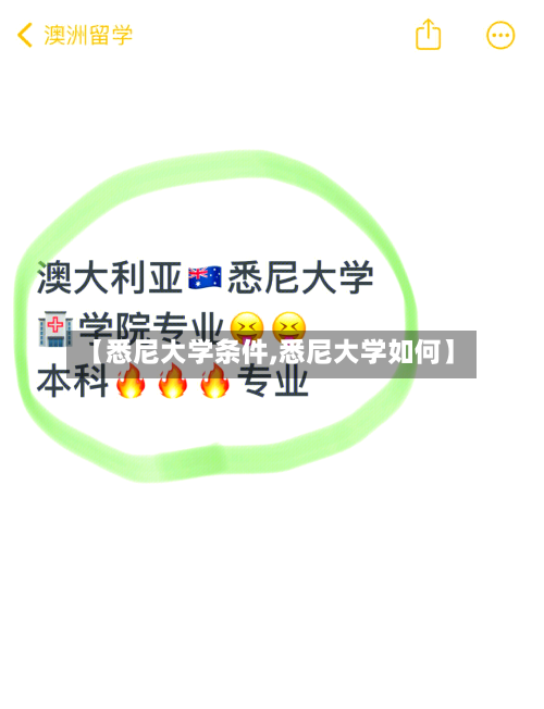 【悉尼大学条件,悉尼大学如何】