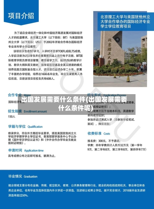 出国发展需要什么条件(出国发展需要什么条件呢)