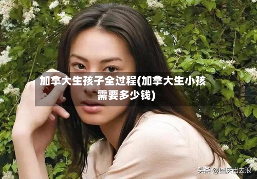 加拿大生孩子全过程(加拿大生小孩需要多少钱)-第2张图片