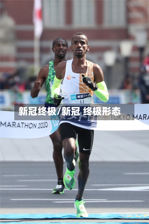 新冠终极/新冠 终极形态