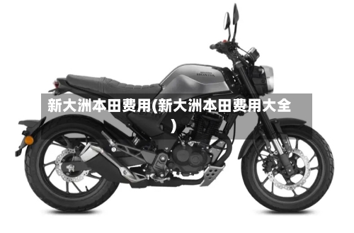 新大洲本田费用(新大洲本田费用大全)-第2张图片