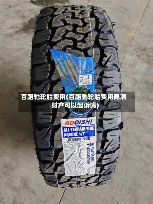 百路驰轮胎费用(百路驰轮胎费用隐满财产可以起诉吗)-第2张图片