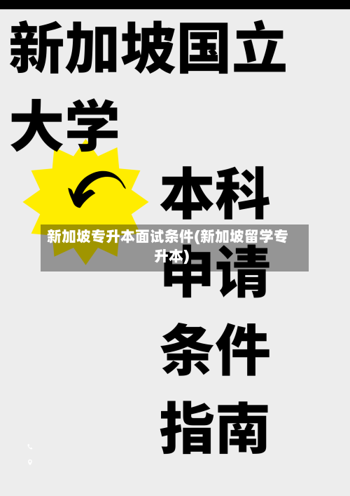 新加坡专升本面试条件(新加坡留学专升本)-第3张图片