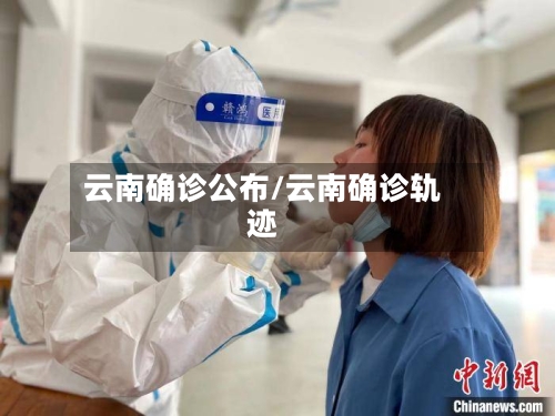 云南确诊公布/云南确诊轨迹-第2张图片