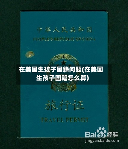 在美国生孩子国籍问题(在美国生孩子国籍怎么算)-第2张图片
