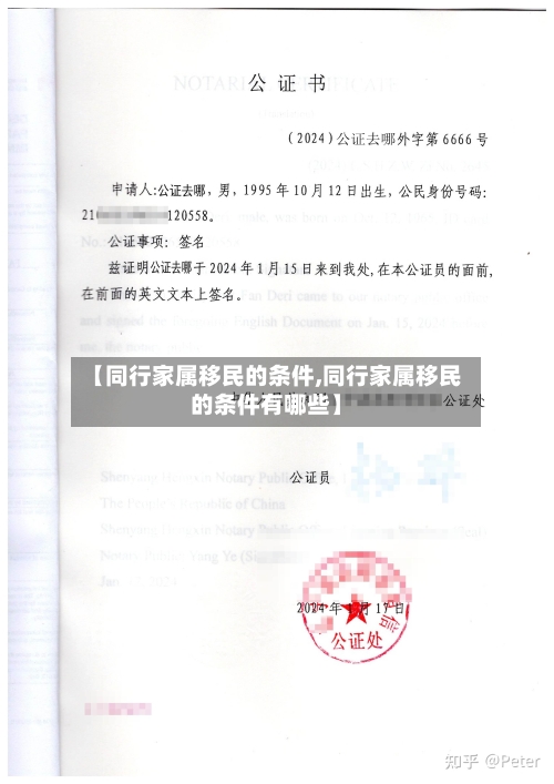 【同行家属移民的条件,同行家属移民的条件有哪些】