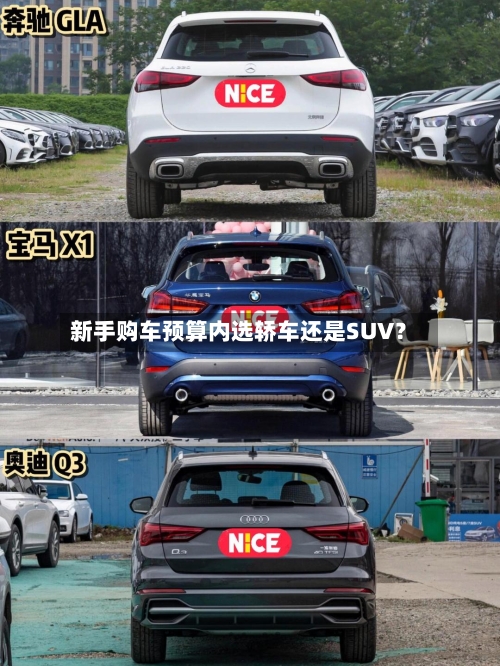 新手购车预算内选轿车还是SUV？-第3张图片