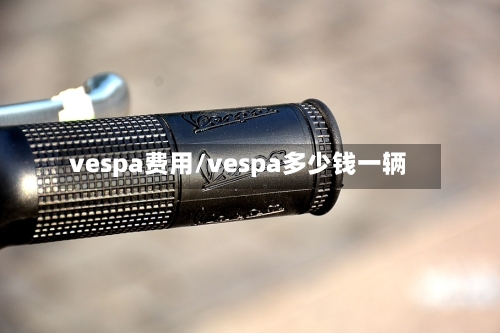vespa费用/vespa多少钱一辆-第2张图片