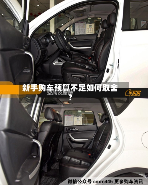 新手购车预算不足如何取舍？-第2张图片