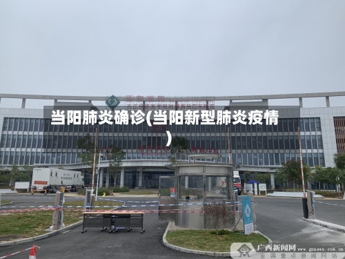 当阳肺炎确诊(当阳新型肺炎疫情)-第3张图片