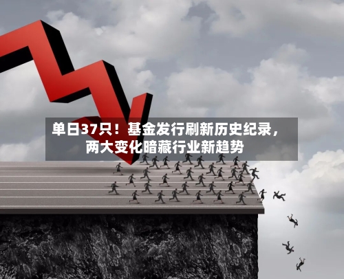 单日37只！基金发行刷新历史纪录	，两大变化暗藏行业新趋势-第3张图片