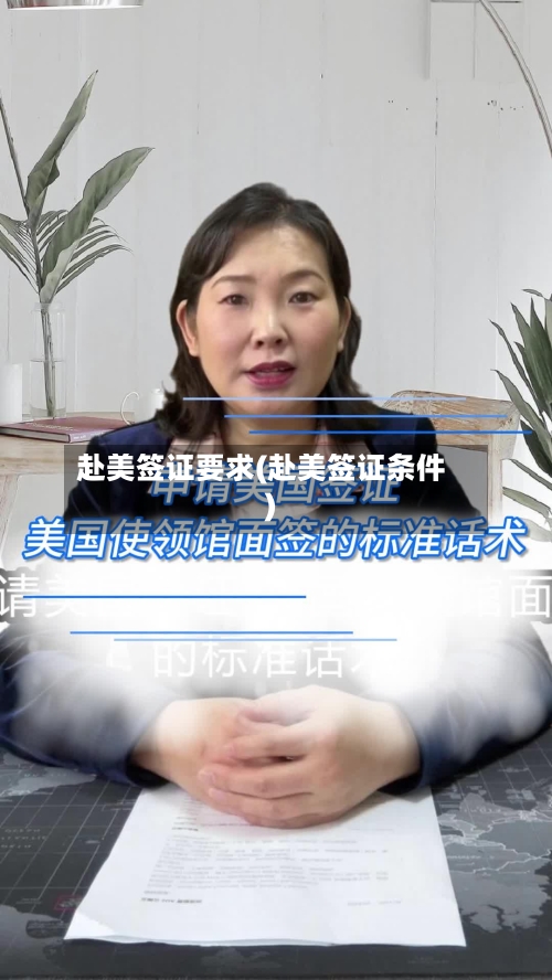 赴美签证要求(赴美签证条件)