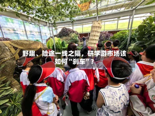 野趣	、险途一线之隔，研学游市场该如何“刹车”？-第2张图片
