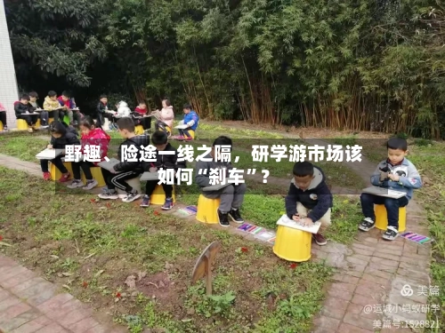 野趣、险途一线之隔,研学游市场该如何“刹车”?