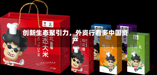 创新生态聚引力	，外资行看多中国资产-第3张图片
